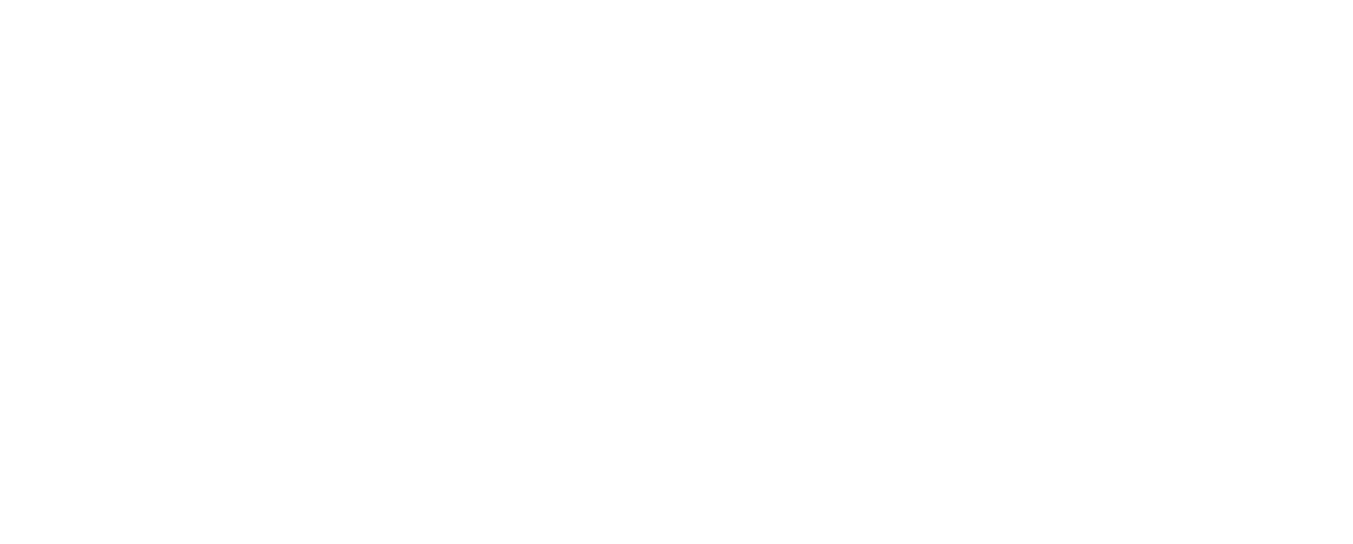 logo-fenix-horizontal
